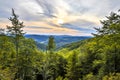 Green lush summer hills forestscape Royalty Free Stock Photo