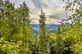 Green lush summer hills forestscape Royalty Free Stock Photo