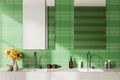 Green luxury bathroom interior with washbasins and decoration with accessories