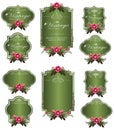 Green luxury invitation flower labels and blank labels Royalty Free Stock Photo