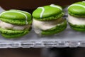 Green macarons appetizers filled with vanilla ice cream on crystal glass dish Royalty Free Stock Photo