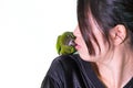 Green macaw bird pet kiss to woman.