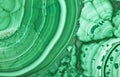 Green malachite beautiful texture macro Royalty Free Stock Photo