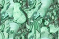 Green malachite fine seamless texture close-up Royalty Free Stock Photo