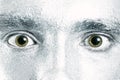 Green male eyes with dilated pupil Royalty Free Stock Photo