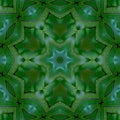 Green mandala from forest palm trees. Mandala made from natural fern leaves. Royalty Free Stock Photo