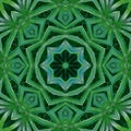 Green mandala from forest palm trees. Mandala made from natural fern leaves. Royalty Free Stock Photo