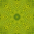 Green mandala from forest palm trees. Mandala made from natural fern leaves. Royalty Free Stock Photo