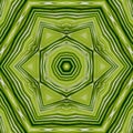 Green mandala from forest palm trees. Mandala made from natural fern leaves. Royalty Free Stock Photo