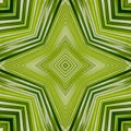 Green mandala from forest palm trees. Mandala made from natural fern leaves. Royalty Free Stock Photo