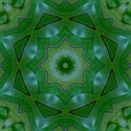 Green mandala from forest palm trees. Mandala made from natural fern leaves. Royalty Free Stock Photo