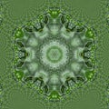 Green mandala from forest palm trees. Mandala made from natural fern leaves. Royalty Free Stock Photo