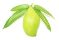 Green mango