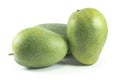 Green mangoes isolated on white background Royalty Free Stock Photo