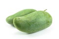 Green mangoes isolated on white background Royalty Free Stock Photo