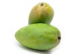 Green mangoes isolated on white background Royalty Free Stock Photo