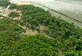 Green mangrove forest capture carbon dioxide. Net zero emissions. Mangroves capture CO2 from atmosphere. Blue carbon ecosystems.