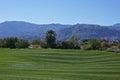 Golf course Palm Desert California Royalty Free Stock Photo