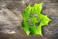 Green maple leaf with recycle symbol Royalty Free Stock Photo