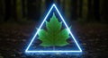 A green maple leaf is set on a forest floor, framed by a luminous white triangle. The Royalty Free Stock Photo