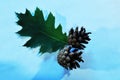 Green maple leaf and two pine cones.