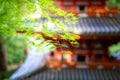 Green maple leaves, red pagoda in background, Japan Royalty Free Stock Photo