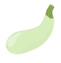 Green marrow squash Royalty Free Stock Photo