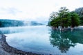 Green marsh cypresses stand in the water of a mountain lake in the early morning and are reflected in it. Steam spreads over the w