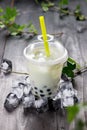 Green matcha bubble tea and black tapioca pearls on crushed ice Royalty Free Stock Photo