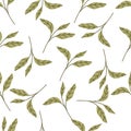 Green matcha seamless pattern. Matcha leaves are an herbal organic food.