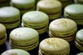 Green matcha tea macaroons close-up on a dark background filled with plant based chocolate cream. Matcha green tea macarons with Royalty Free Stock Photo