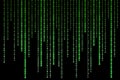 Green matrix background of binary numbers. Matrix of computer data. Vertical digital binary code moves down Royalty Free Stock Photo