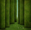 Green maze Royalty Free Stock Photo