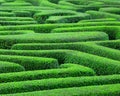 Green maze Royalty Free Stock Photo