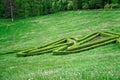 Green maze and Garden stone path with grass growing up between the stones. Detail of a botanical garden Royalty Free Stock Photo