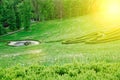 Green maze and Garden stone path with grass growing up between the stones. Detail of a botanical garden Royalty Free Stock Photo