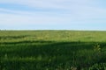 Green meadow under the blue sky of AndalucÃ­a Royalty Free Stock Photo