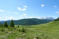 Green meadow against a background of snow-covered peaks and tops with trees. Royalty Free Stock Photo