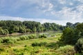 Green meadow along Kuban river in summer day