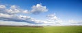 Green meadow and blue sky Royalty Free Stock Photo