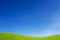 Green meadow on the blue sky. Royalty Free Stock Photo