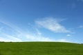 Green meadow and blue sky