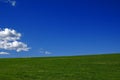Meadow, blue sky and cloud