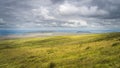 Green meadow or bog with long grass, illuminated by sunlight, Cuilcagh Mountain Park Royalty Free Stock Photo