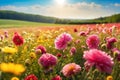 A green meadow with colorful flowers under a blue summer sky.