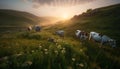 Green meadow, cows grazing, mountains, sunset, nature beauty in rural scene generated by AI Royalty Free Stock Photo