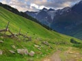 Green meadow with fence Royalty Free Stock Photo