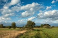 Green meadow, field stubble, road and bushes, clouds on blue sky