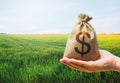 Green meadow field of young wheat and dollar money bag. World hunger. Grains cereals deficits. Starvation, famine. Agroindustry