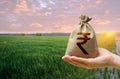 Green meadow field of young wheat and indian rupee money bag. World hunger. Grains cereals deficits. Starvation. Agroindustry and